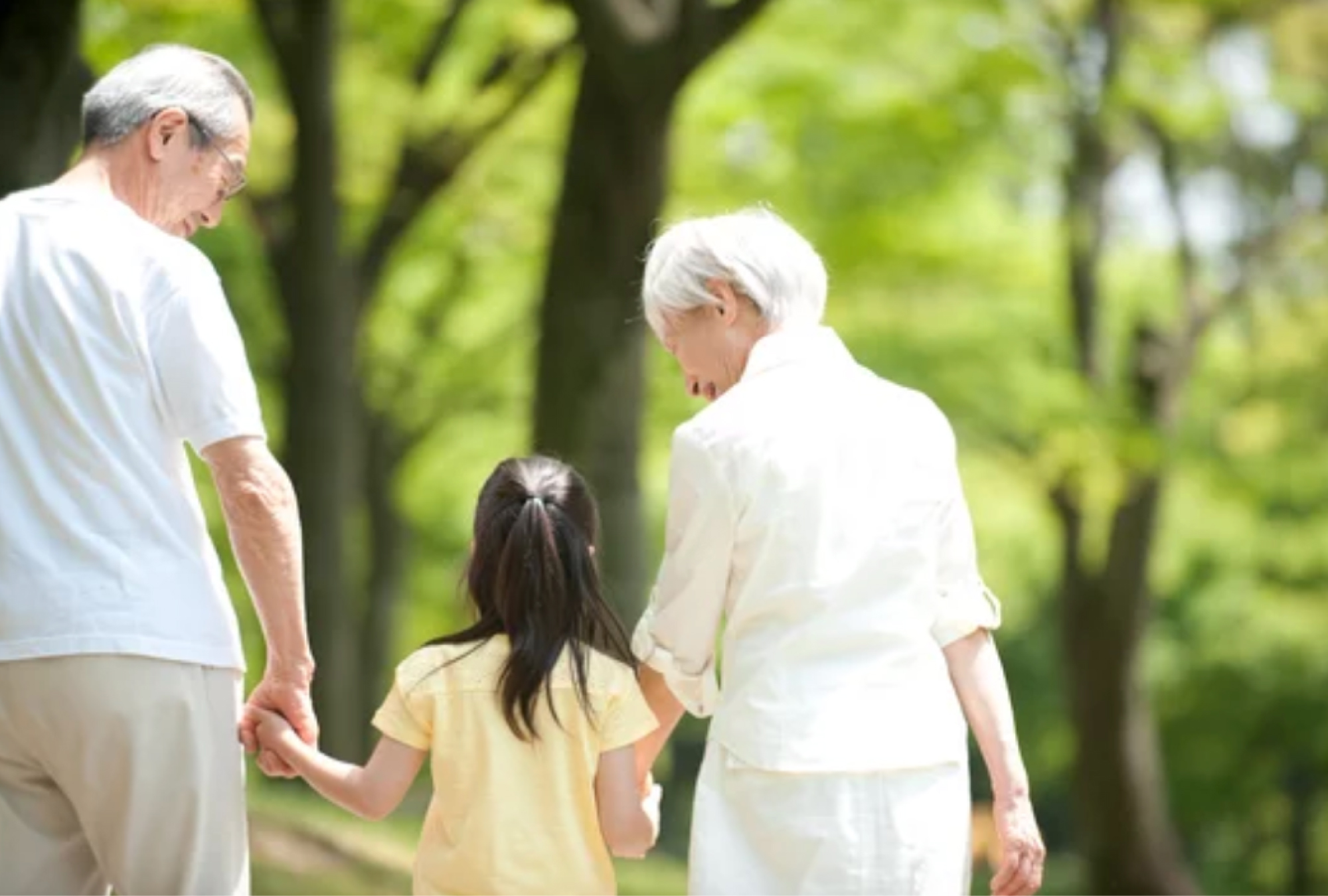 高齢者と子どもが手をつないで歩く旅行の様子