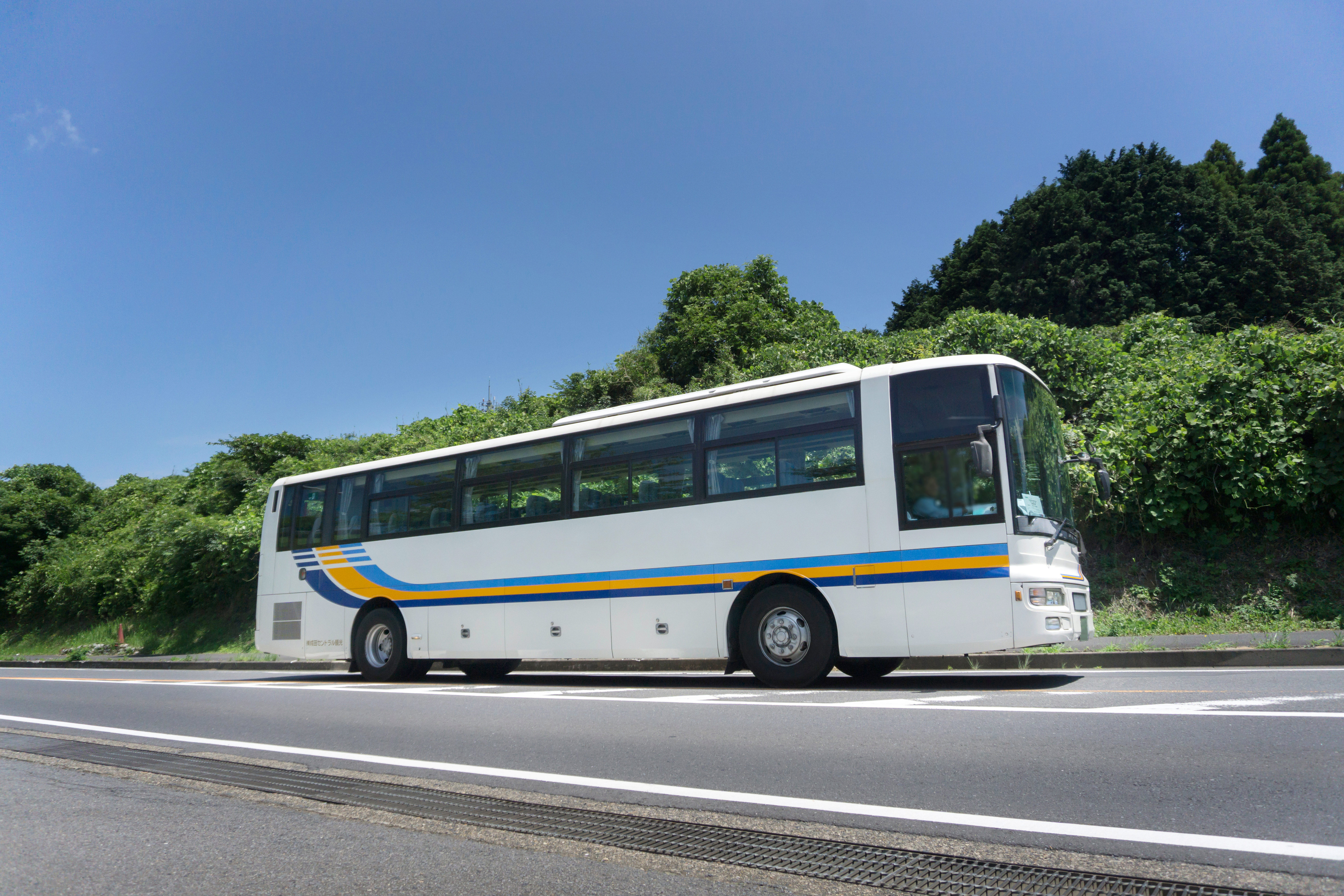 緑の木々を背景に走る観光バス
