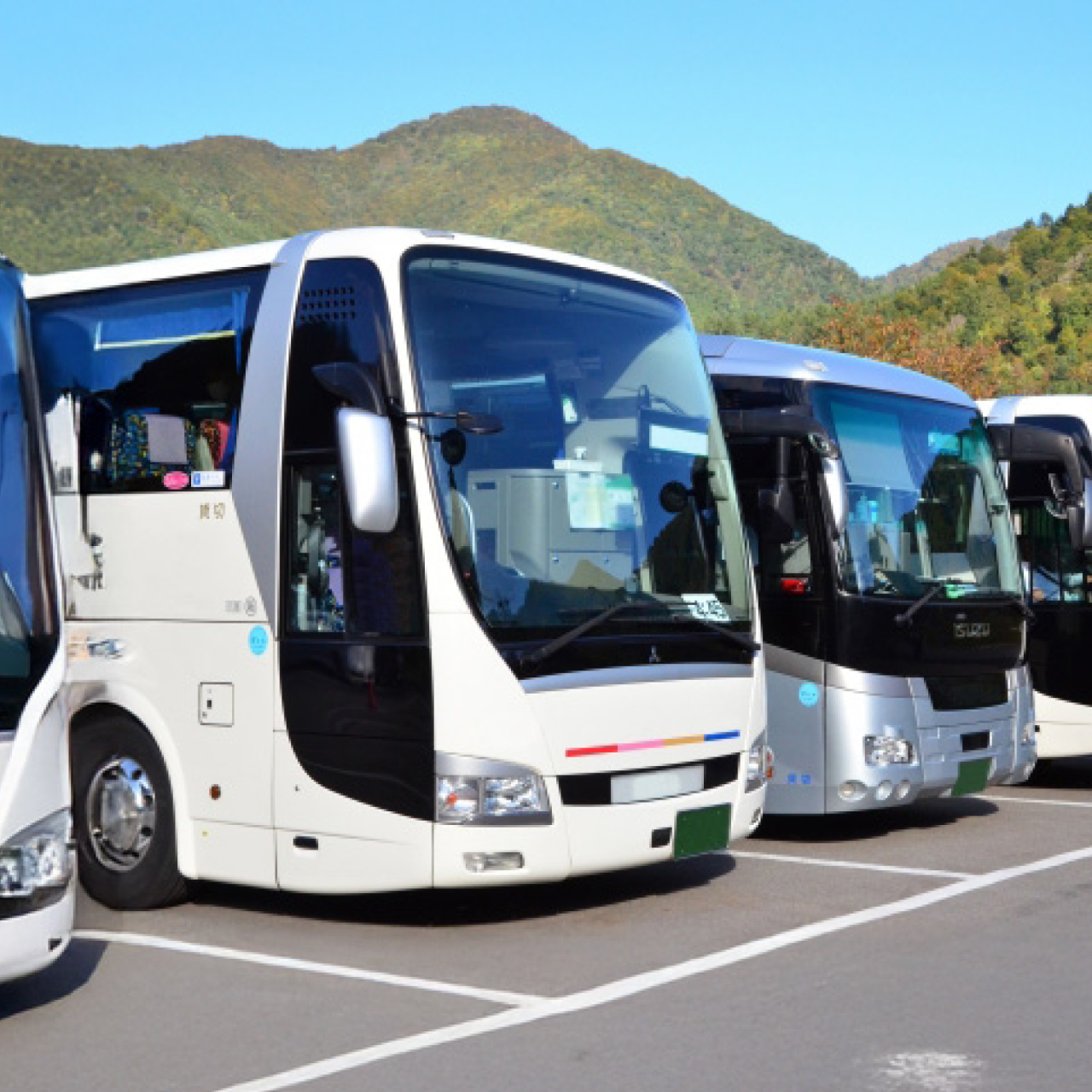 山を背景に並ぶ複数の観光バス