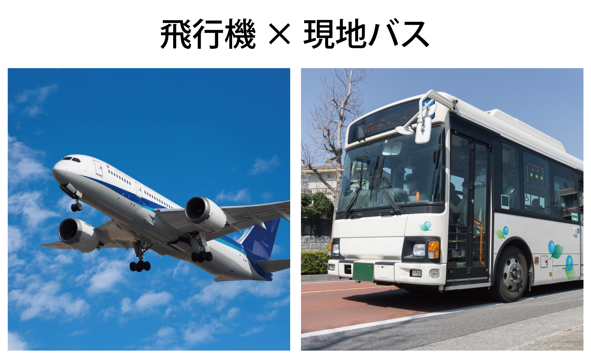 飛行機と現地バスを組み合わせた移動手段