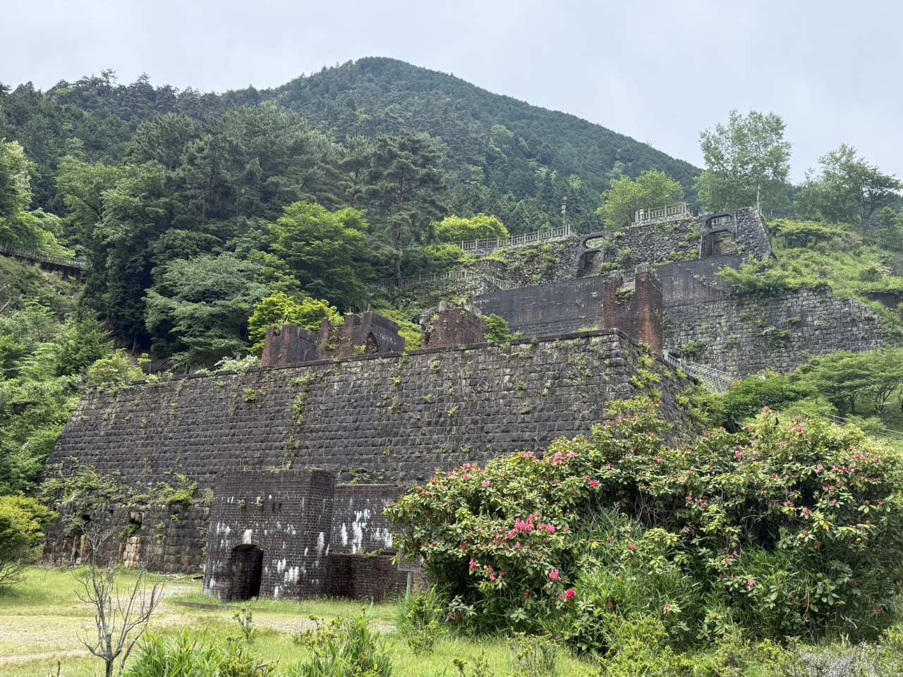 四国の絶景と郷土グルメを楽しむ組合旅行